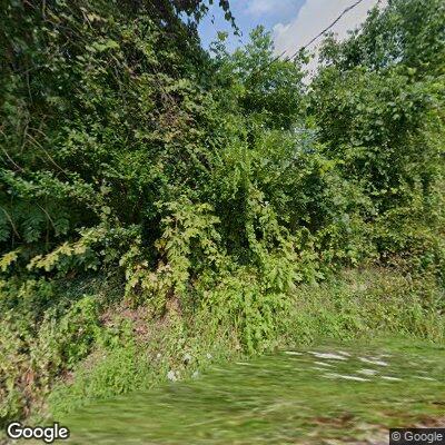 Tree blocking road on Pattersonville Road