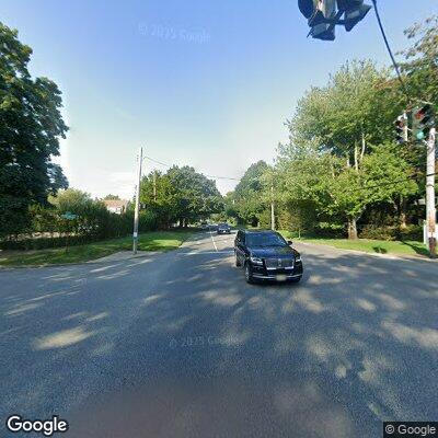 Dog running in roadway at Southampton intersection
