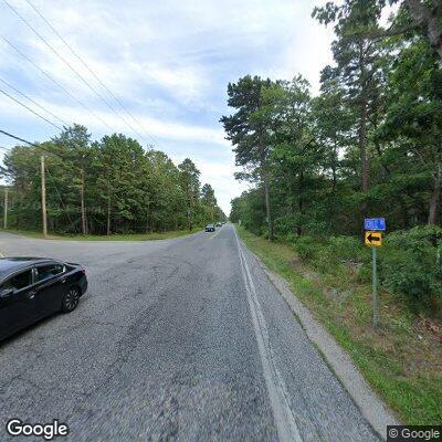 Deceased deer on Wading River Manor Road