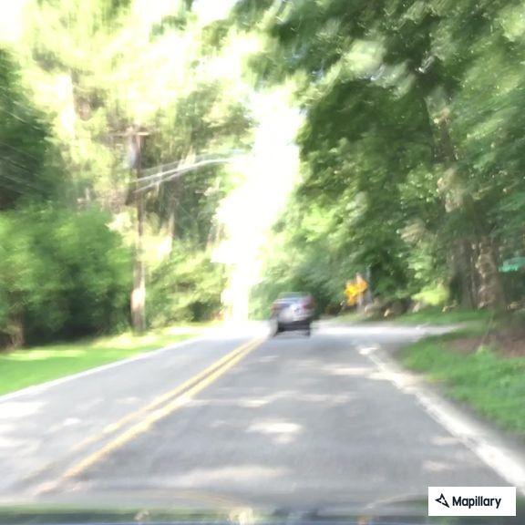 Tree on power line on fire and arcing in Alpine