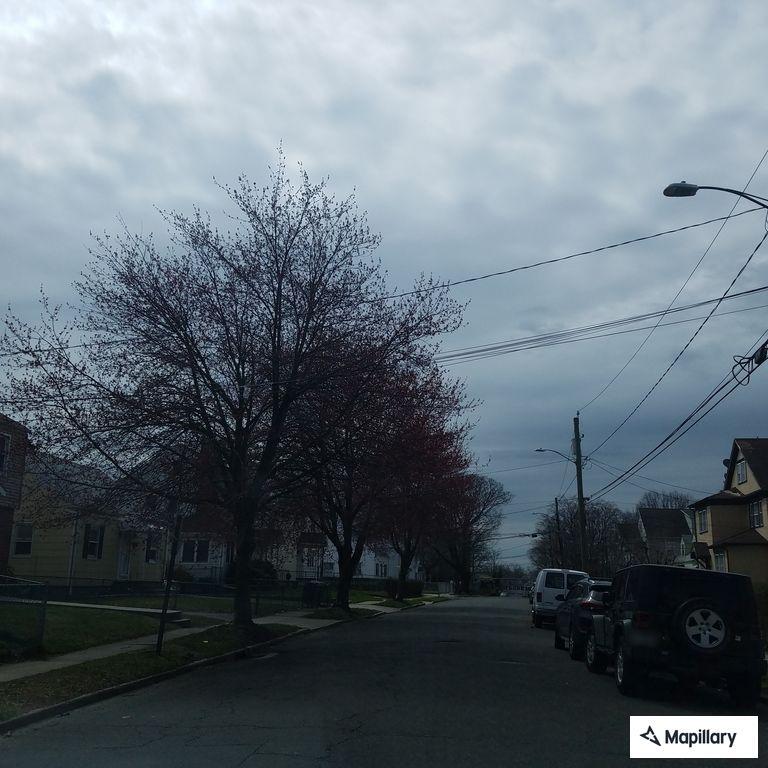 Smoke alarm sounding for hours on Wilson Street