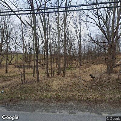 Tree hanging over roadway on Wheeler Road