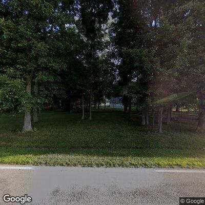 Loose dogs wandering in yard and roadway