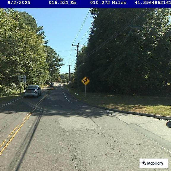 Tree partially blocking Winthrop Road in Chester