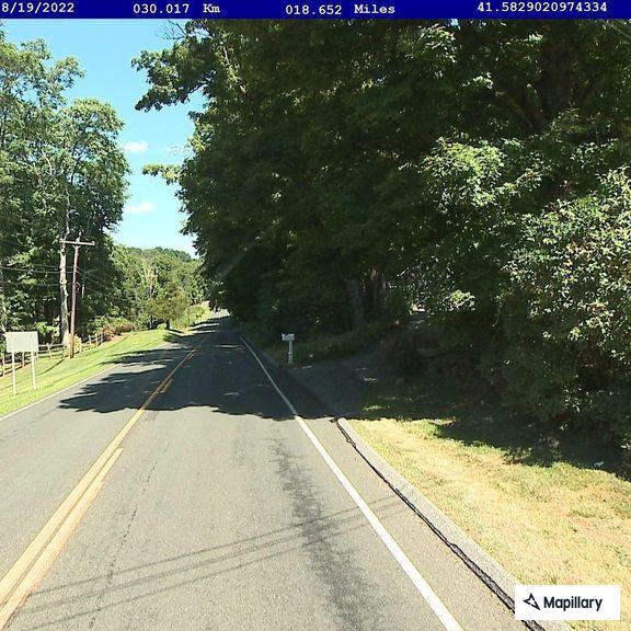 Tree limb blocking lane on Route 39 in Sherman