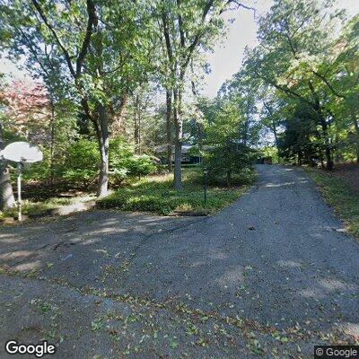 Tree tangled with utility lines near Birchmont