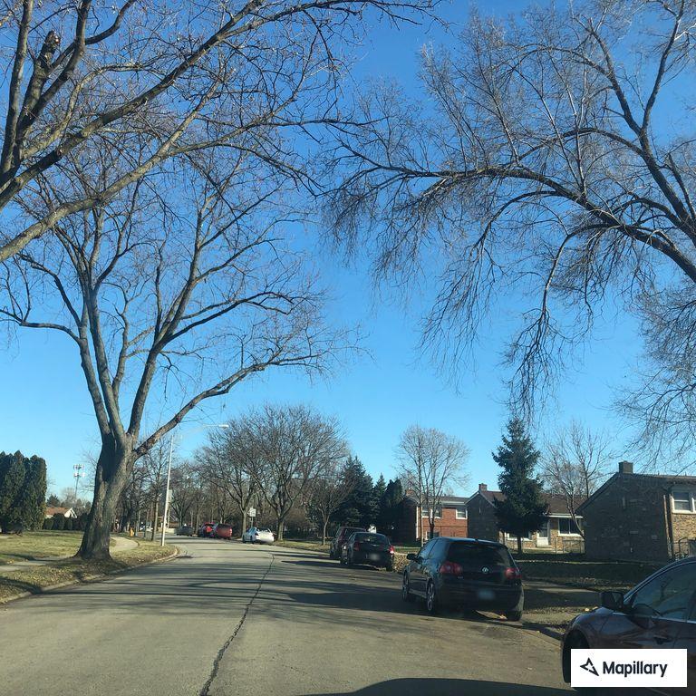 Fireworks mistaken for gunshots on Michael Lane