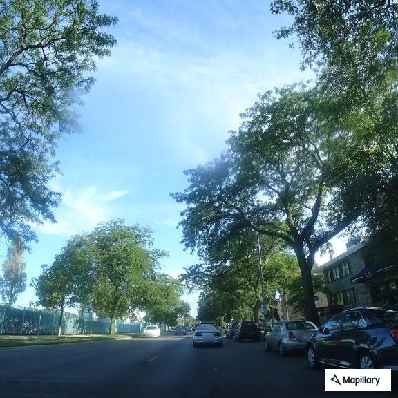 Battery victim reported on Ridge Boulevard