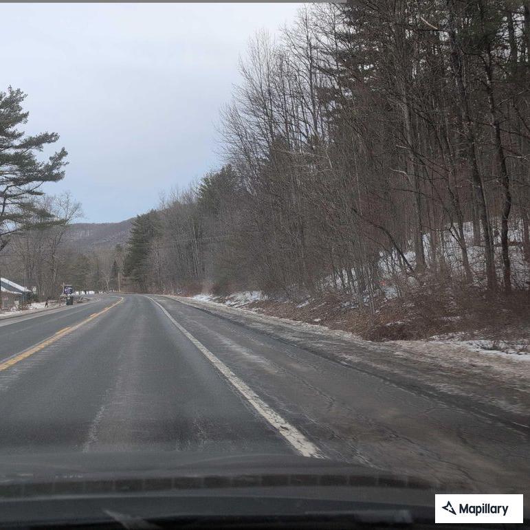 Injured deer blocking roadway on Route 28