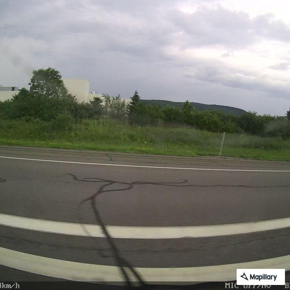 Car hits deer on I-86 eastbound near Exit 49