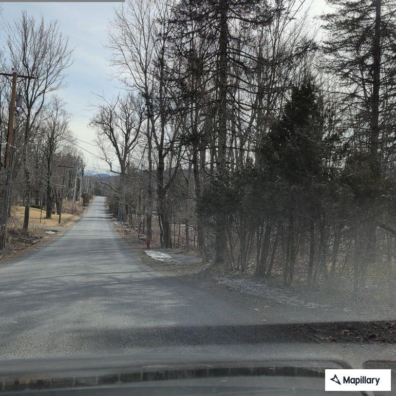 Bear reported inside home on Spring Street