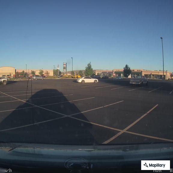 Animal complaint at grocery store parking lot