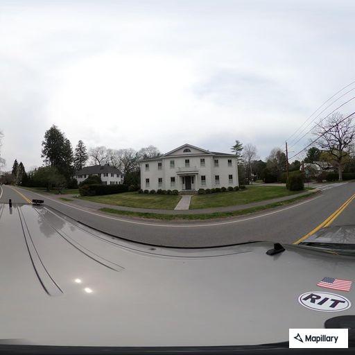 Turtle in roadway causing traffic hazard