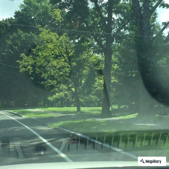 Woman experiencing difficulty breathing at Lenox Bark House