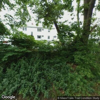 Person falls and hits head near Brattle Drive in Arlington