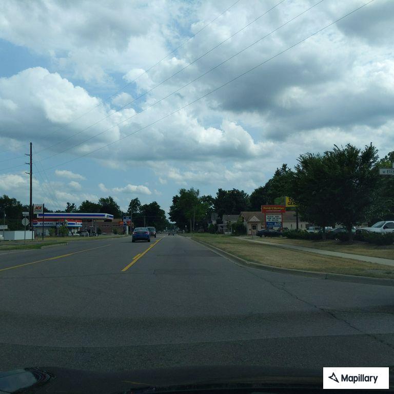 Tree blocking southbound lane of M-50 near Adams Road