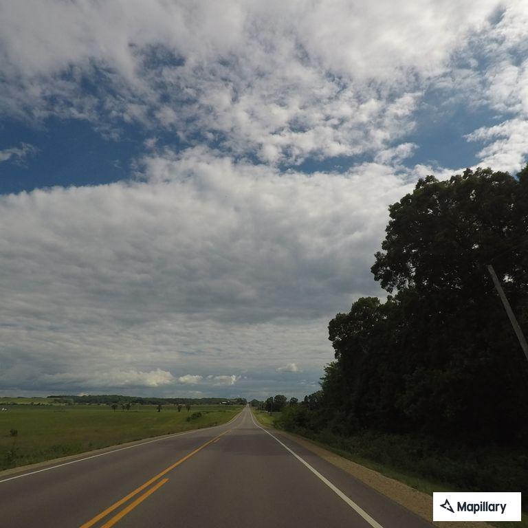 Dead deer reported on Highway 59 near Albany