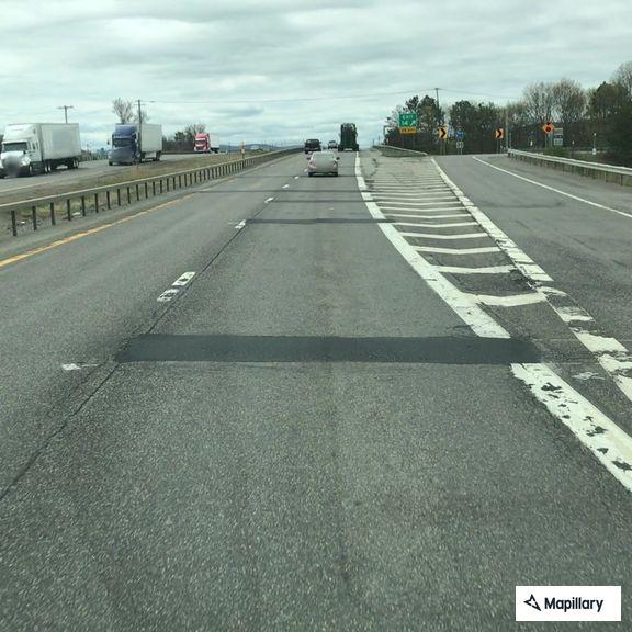 Injured deer in road on I-81 near Tully