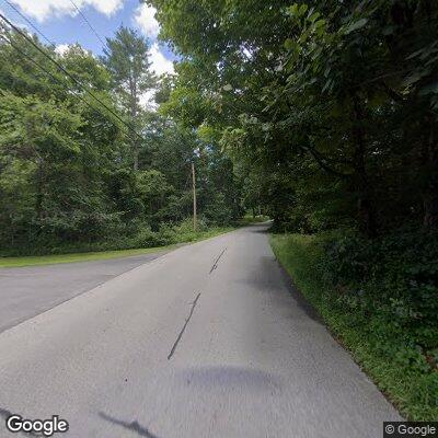 Large snapping turtle blocking roadway