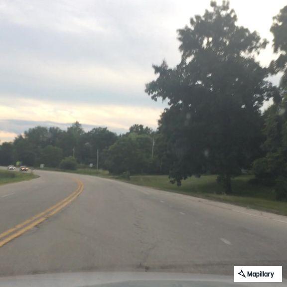 Cattle reported on highway 60 near Lindsay Road