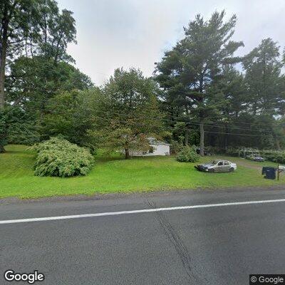 Loose German Shepherd near highway overpass