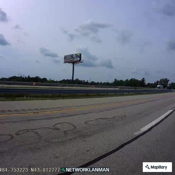 Dog running loose along northbound US-127