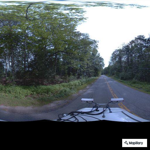 Loose dog causing traffic hazard on Mere Point Road