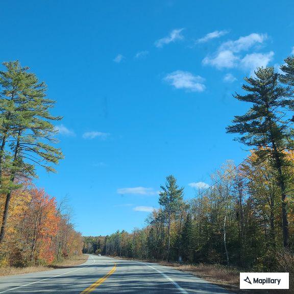 Person with chest and rib pain on vehicle stop in Fryeburg