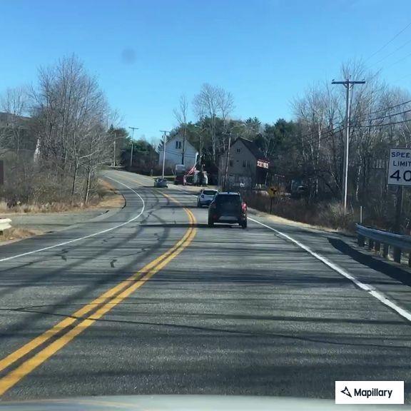 Loose dog running along Route 17 in Hope