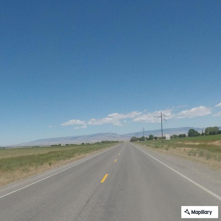 Cattle blocking roadway at Wyoming 32 and Lane 12B