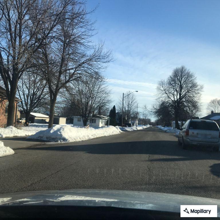 Stray dog taken to animal shelter on 21st Street