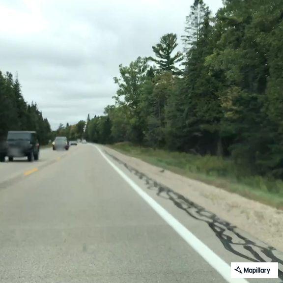 Single-car crash in Cedarville Township ditch