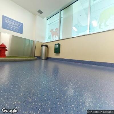 Person reported sick at Portland Airport concourse E