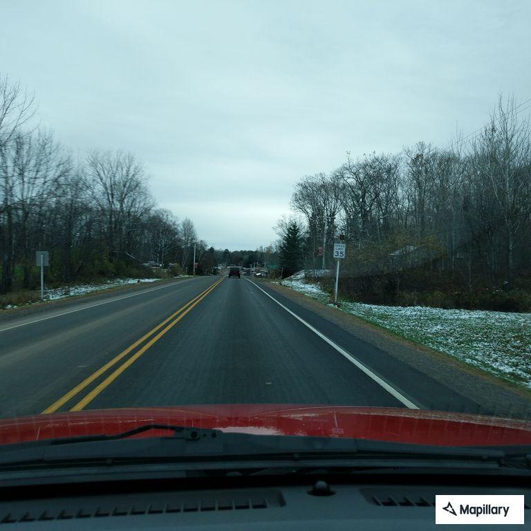 Loose dogs running in traffic on Highway 27/70