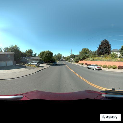 Dog blocking roadway near Myra Road and Larch Avenue