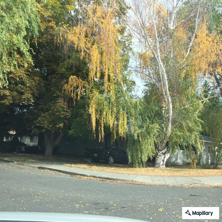 Suspicious visitors return to home on South Alder Street