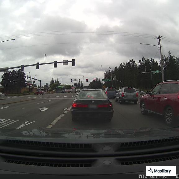 Loose dogs reported at 176th Street and Pacific