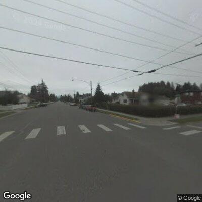 Dogs attack cat in roadway at Burlington intersection