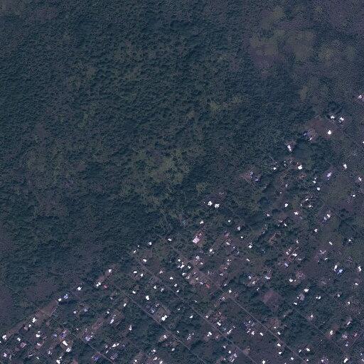 Person having a syncopal episode in Keaau, HI