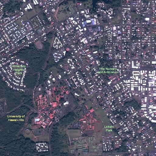 Man with difficulty breathing and speaking near Hilo