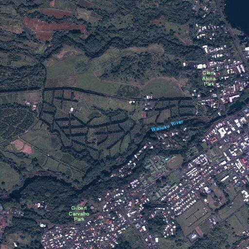 Behavioral emergency near Nihoku Lele Street