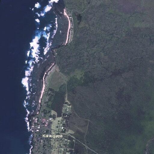Worker injured by fallen utility pole in Kalaupapa