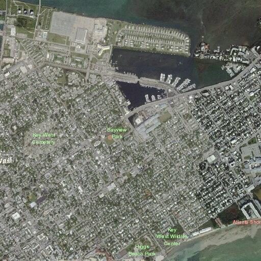 Elderly woman reports chest pain at Seminart Street
