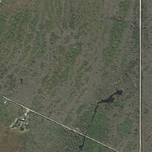 Public assist on Tamiami Trail East