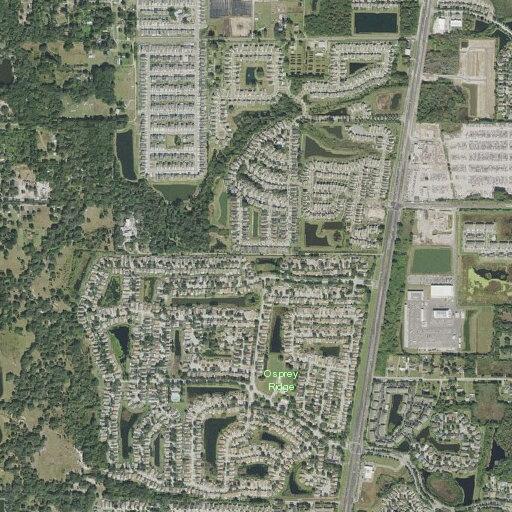 Traffic stop of unlicensed driver near US 301