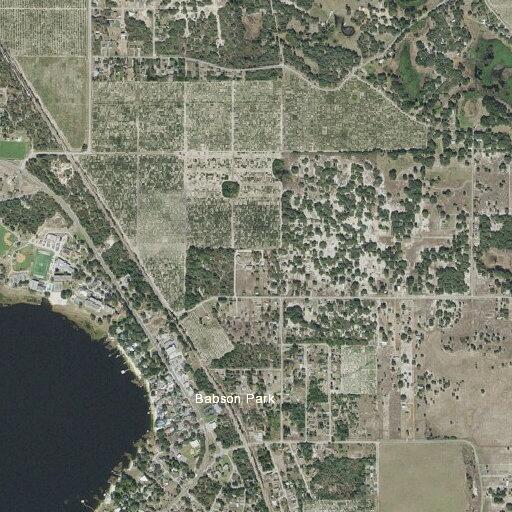 Stray dog reported near Hillside Drive and Avenue