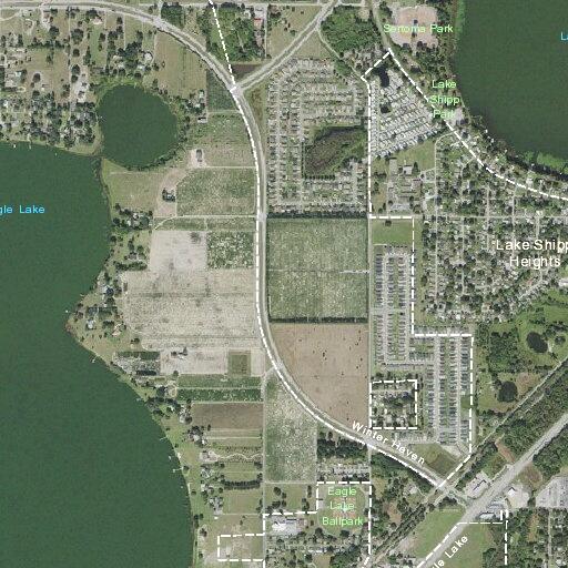 Loose dog reported near Eagle Lake Drive