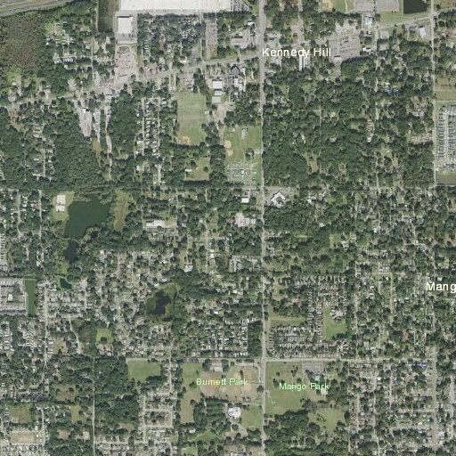 Person fell at residence on Presidential Street in Seffner