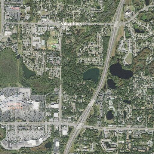Person reported sick on Mt Vernon Road in Citrus Park