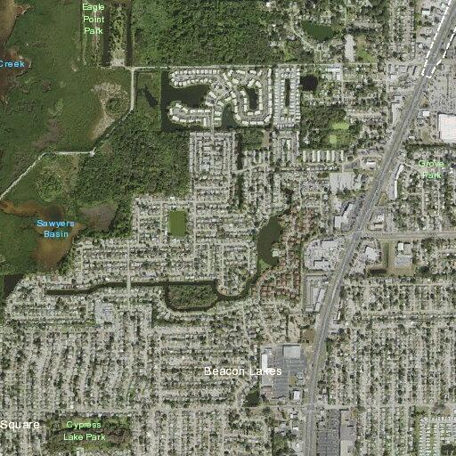 Sick person reported at Walgreens on US Highway 19
